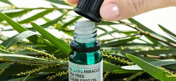Ingredients 101: Tea Tree Oil, A Must-Have For Acne-Prone Skin!